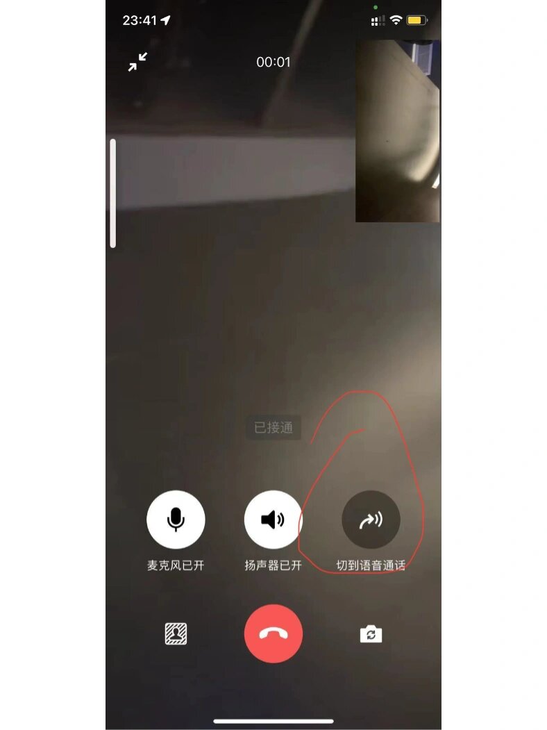 游缘语音苹果版(安卓的欢游苹果叫什么)