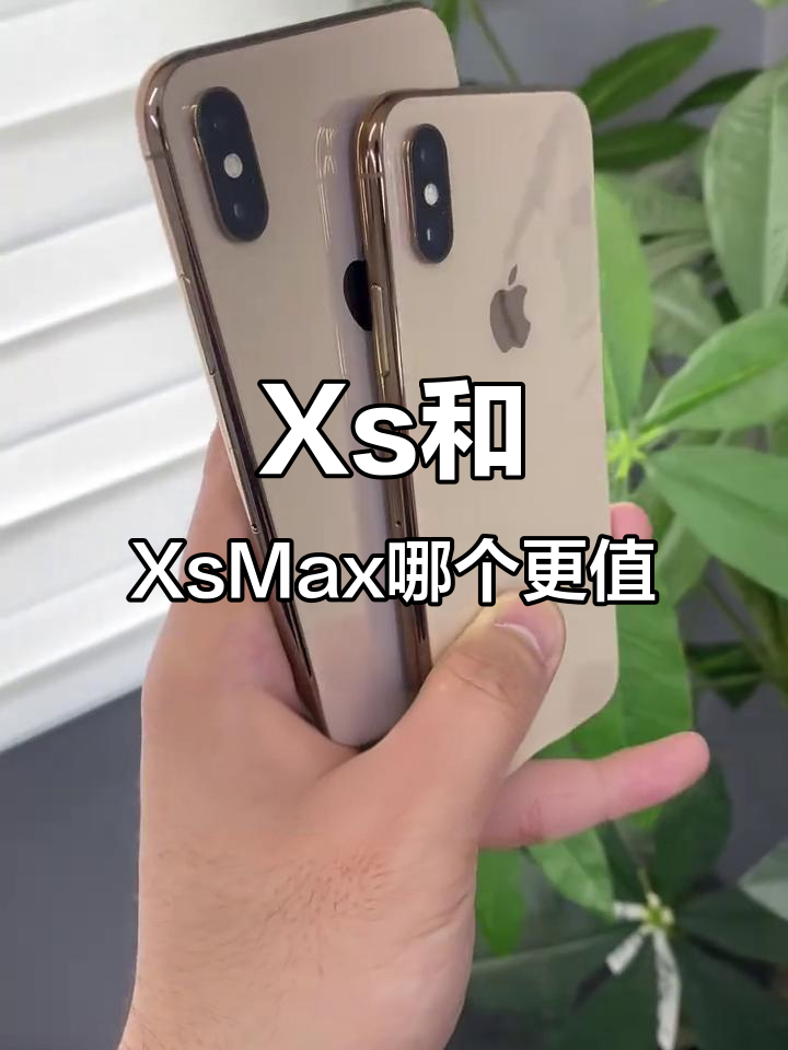 韩版苹果xsmax售价(韩版苹果xsmax怎么样)-第2张图片-有道翻译官网